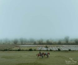 wedding photography in india