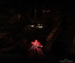 wedding photography in india