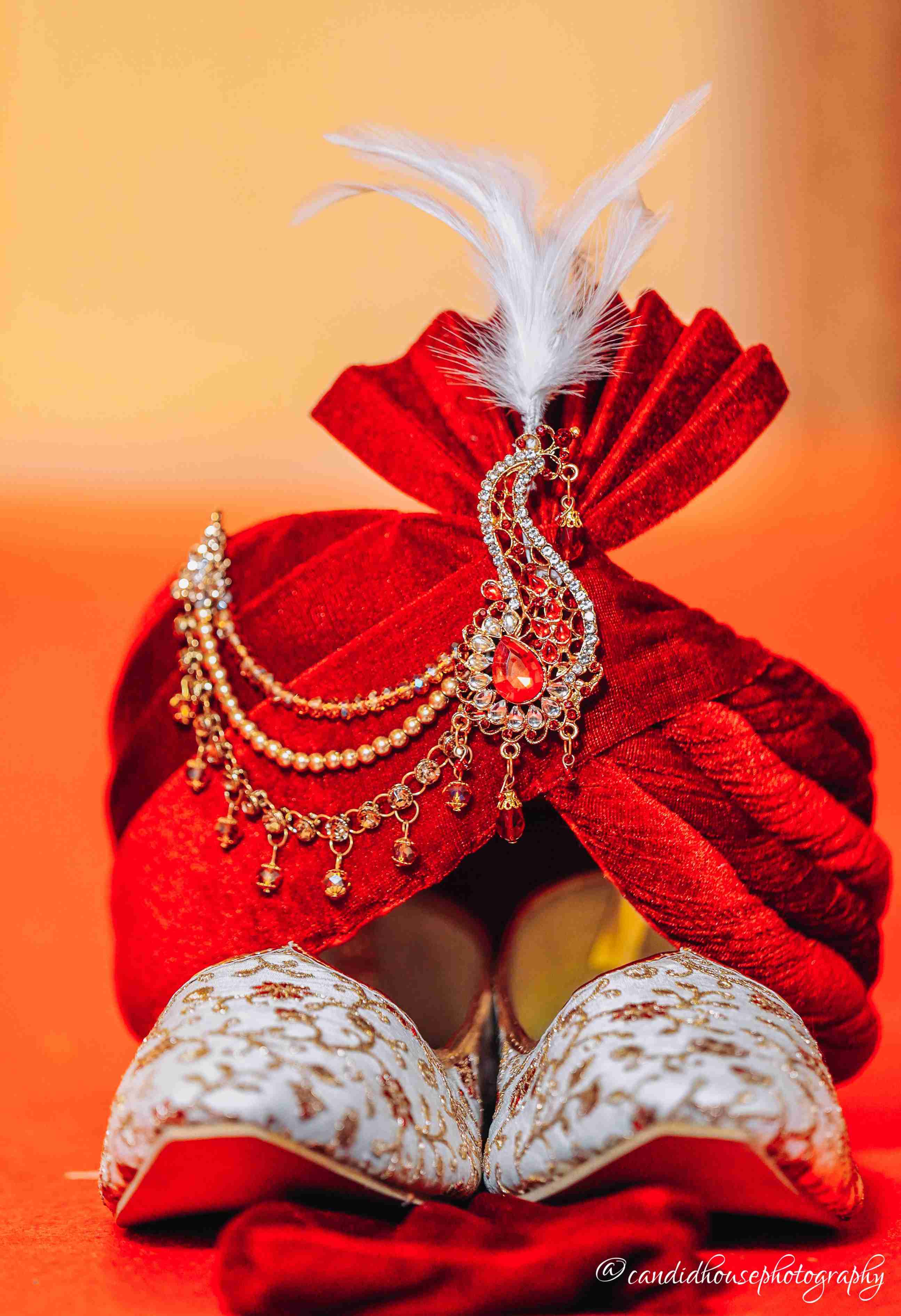 Shiv Vilas Resort jaipur wedding photo